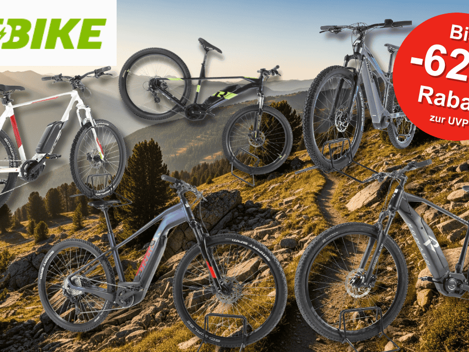 Darstellung verschiedener E-Mountainbikes vor einem Hintergrund, der einen Weg in den Bergen zeigt