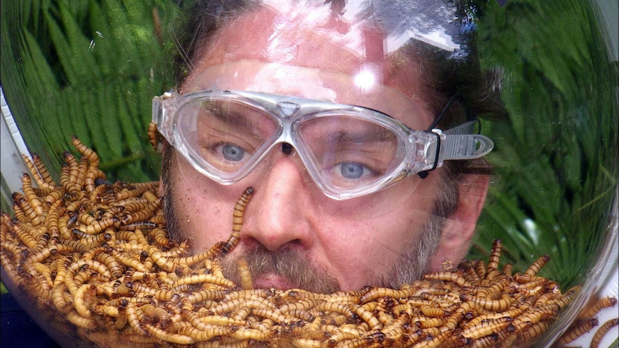 Devise: Mund geschlossen halten. Gil kämpfte sich mit Bravour durch seine letzte Prüfung. (Bild: RTL)