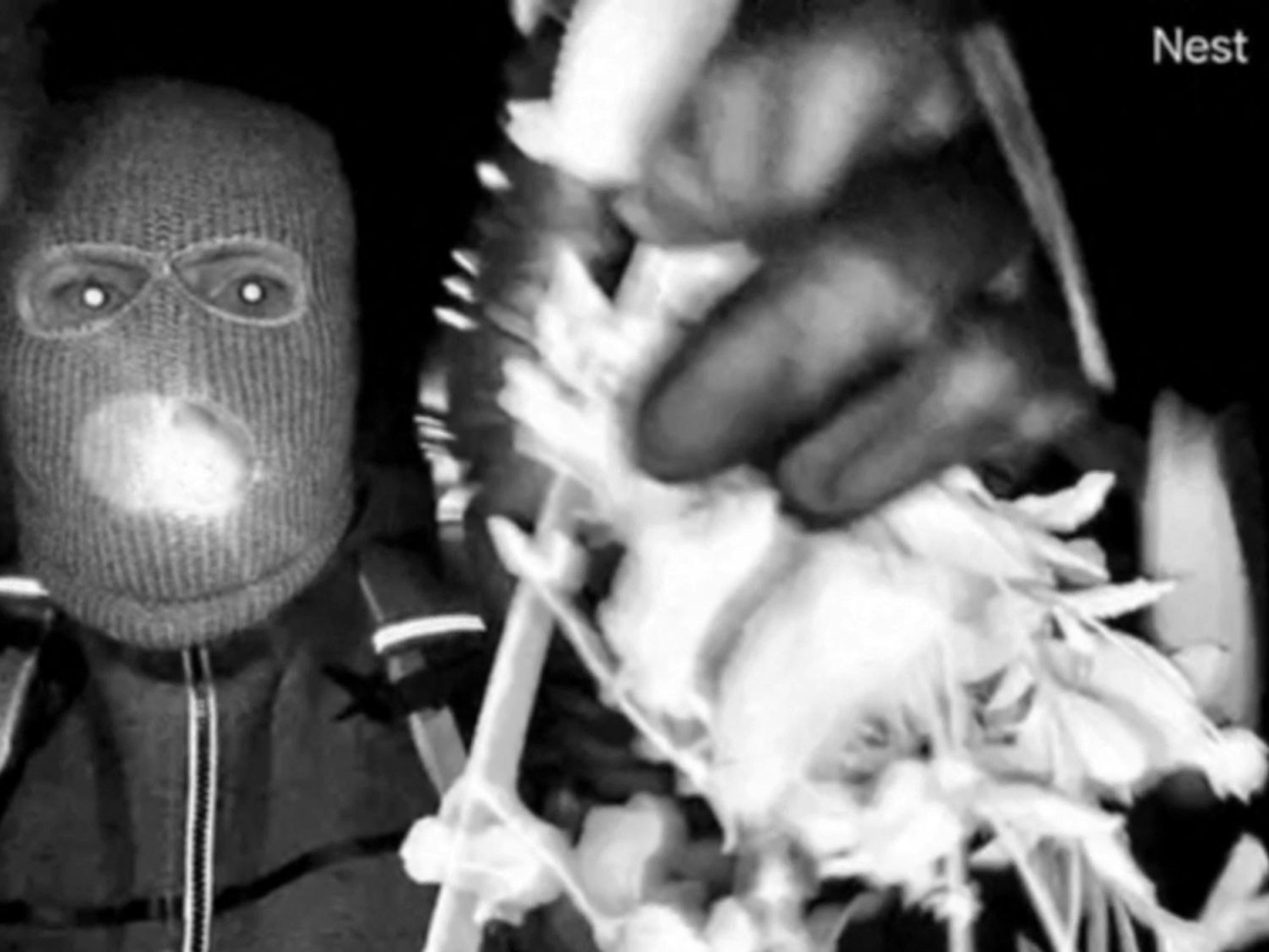 Dieses Foto, das am 10. Februar 2026 zur Verfügung gestellt wurde, zeigt eine Überwachungskameraaufnahme einer bewaffneten Person im Zusammenhang mit dem Verschwinden von Savannah Guthries Mutter Nancy Guthrie.