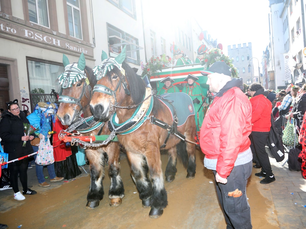 Ein Pferdegespann auf dem Rosenmontagszug am Rosenmontag 2025