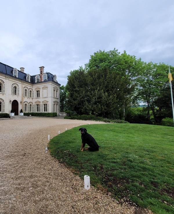 Ein ehrwürdiges Anwesen mit gekiester Einfahrt, rechts sitzt ein schwarzer Hund auf einem englischen Rasen