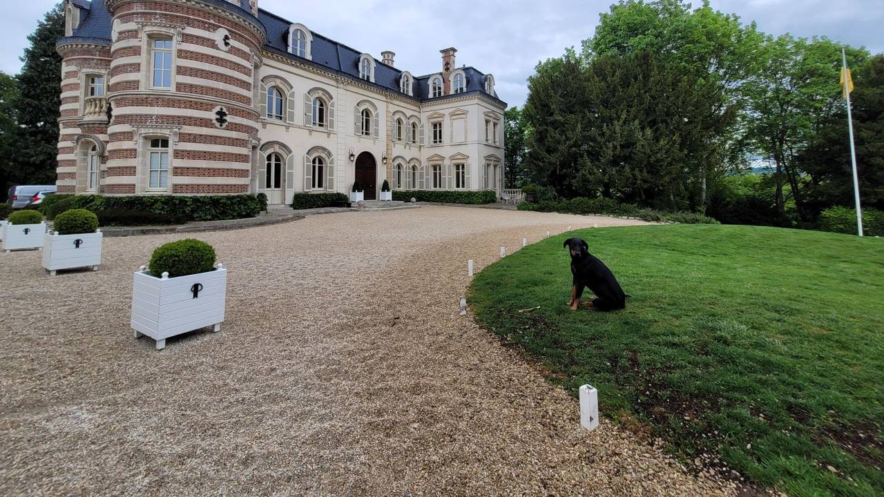 Ein ehrwürdiges Anwesen mit gekiester Einfahrt, rechts sitzt ein schwarzer Hund auf einem englischen Rasen
