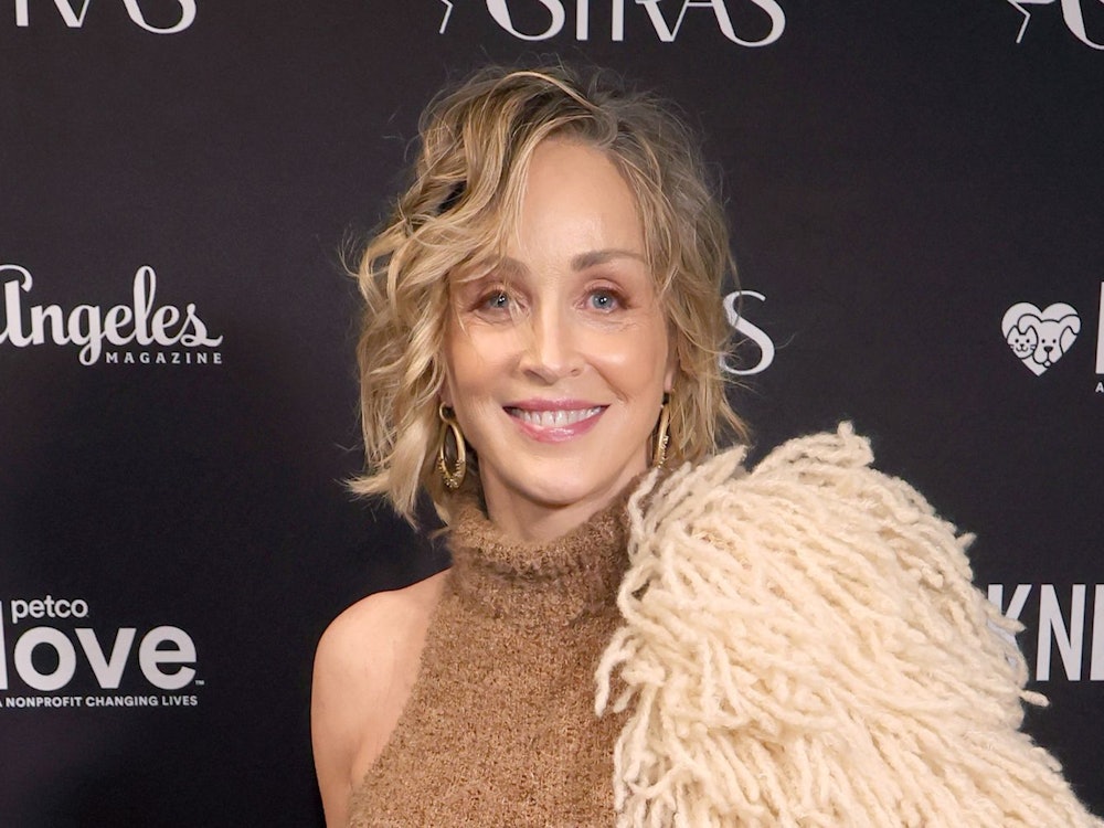 Auf dem Wiener Opernball wurde Sharon Stone von ihren Emotionen übermannt. (Bild: Getty Images / Frazer Harrison)