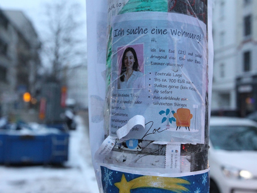 Wohnungsgesuch von Zoe auf Poster