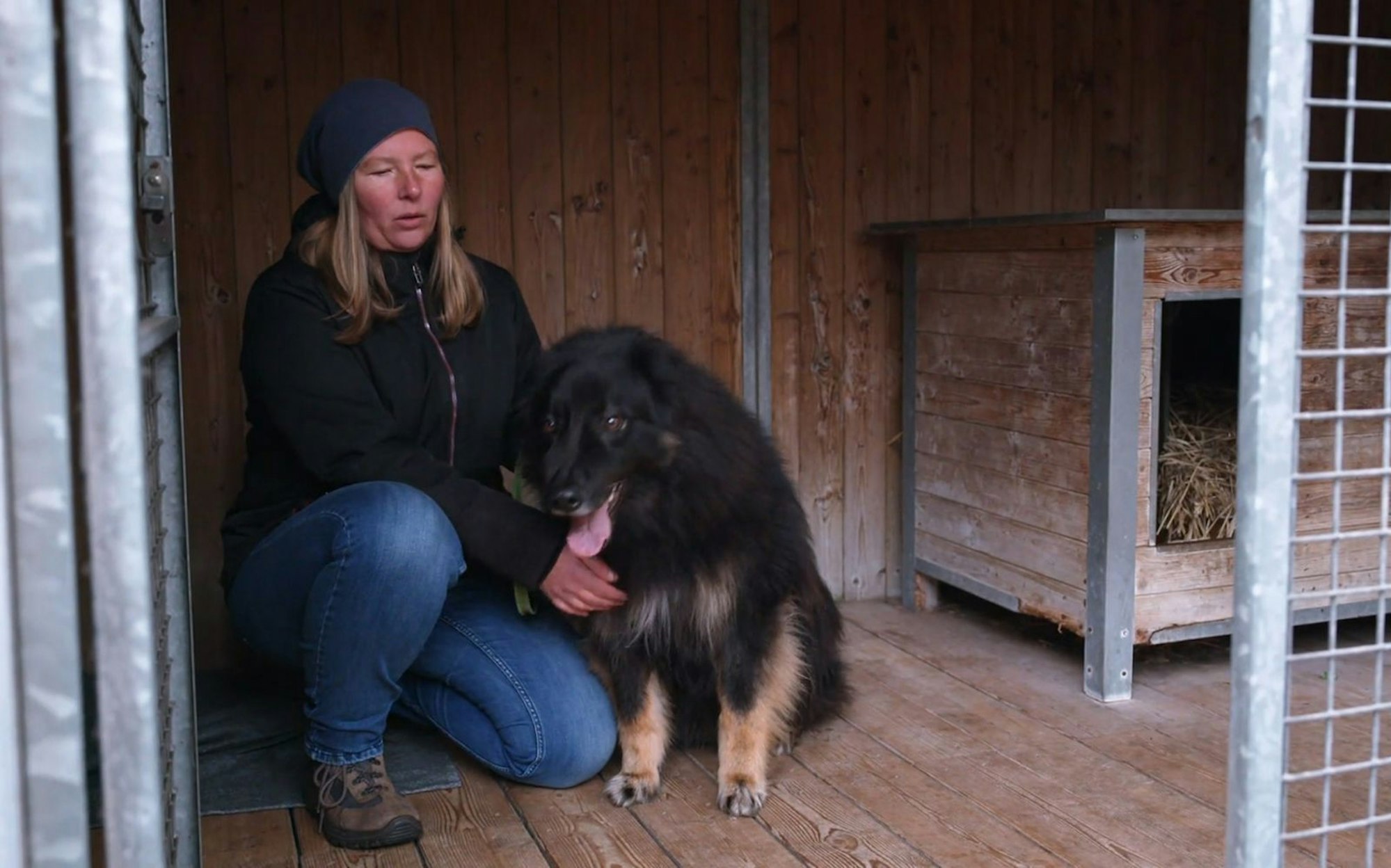 Die Vermittlung von Hütehund-Mix Jimmy war in der letzten Staffel gescheitert. (Bild: RTL)