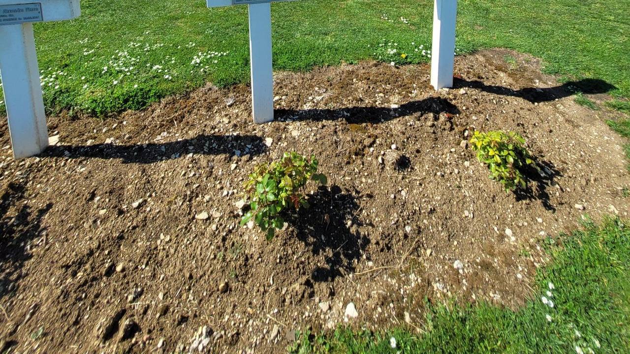 Das Beinhaus von Douaument erinnert an die Schrecken des Ersten Weltkrieges in Verdun (Frankreich)