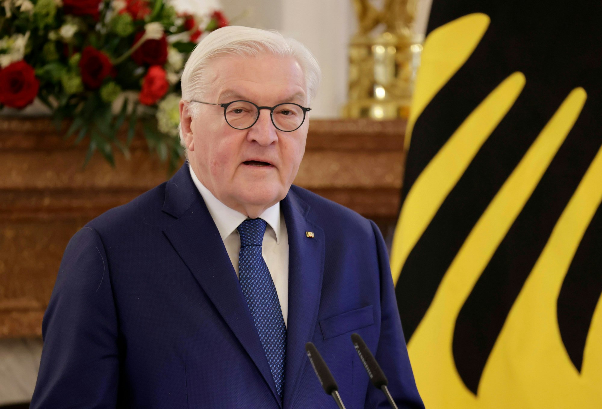 Frank-Walter Steinmeier spricht.