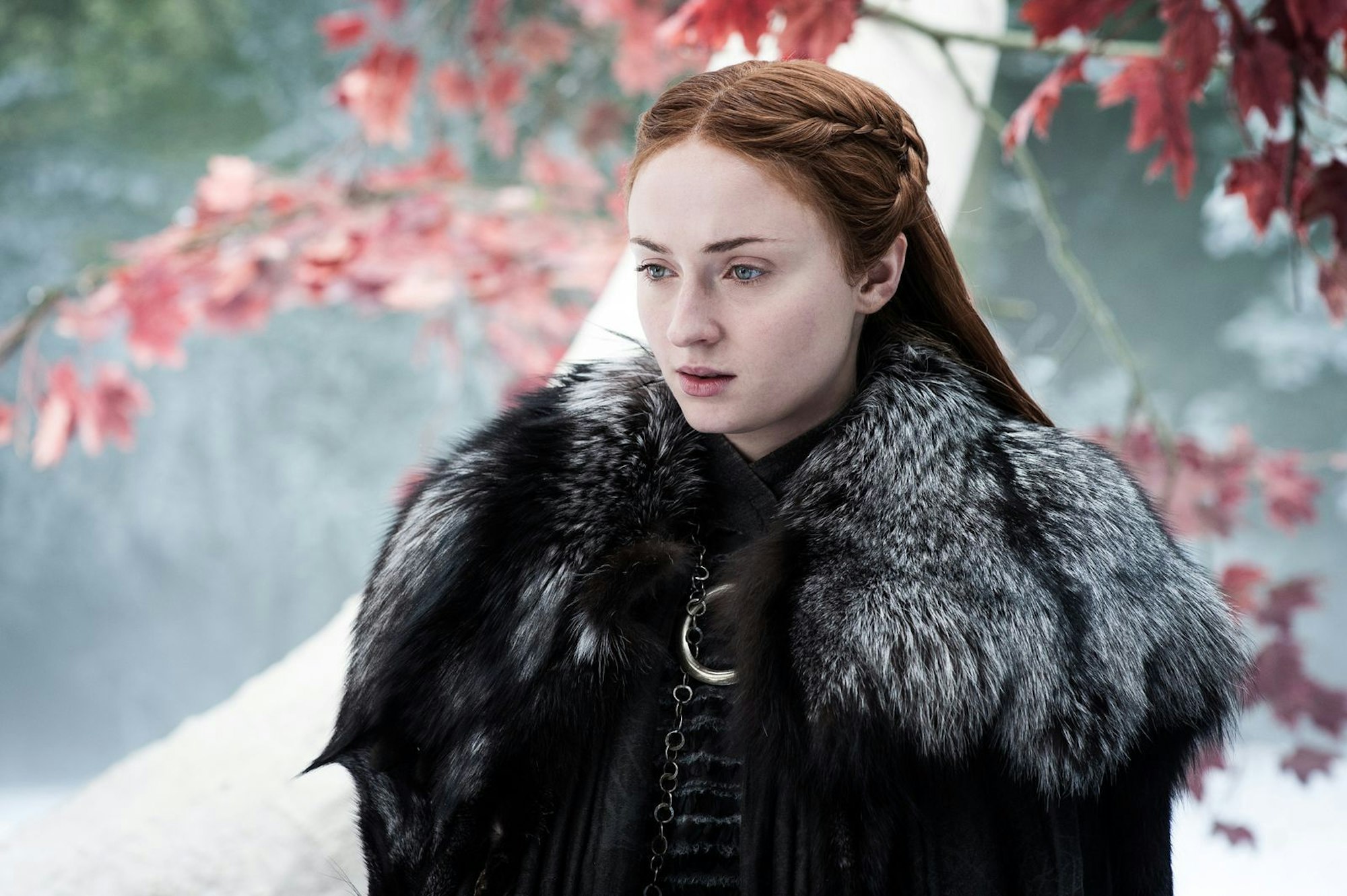 Mit der Rolle der Sansa Stark in der Fantasy-Serie „Game of Thrones“ gelang Sophie Turner der große Durchbruch. (Bild: HBO / Sky)