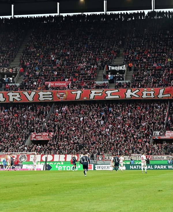 Ein Blick auf die Südkurve mit Fans des 1. FC Köln.