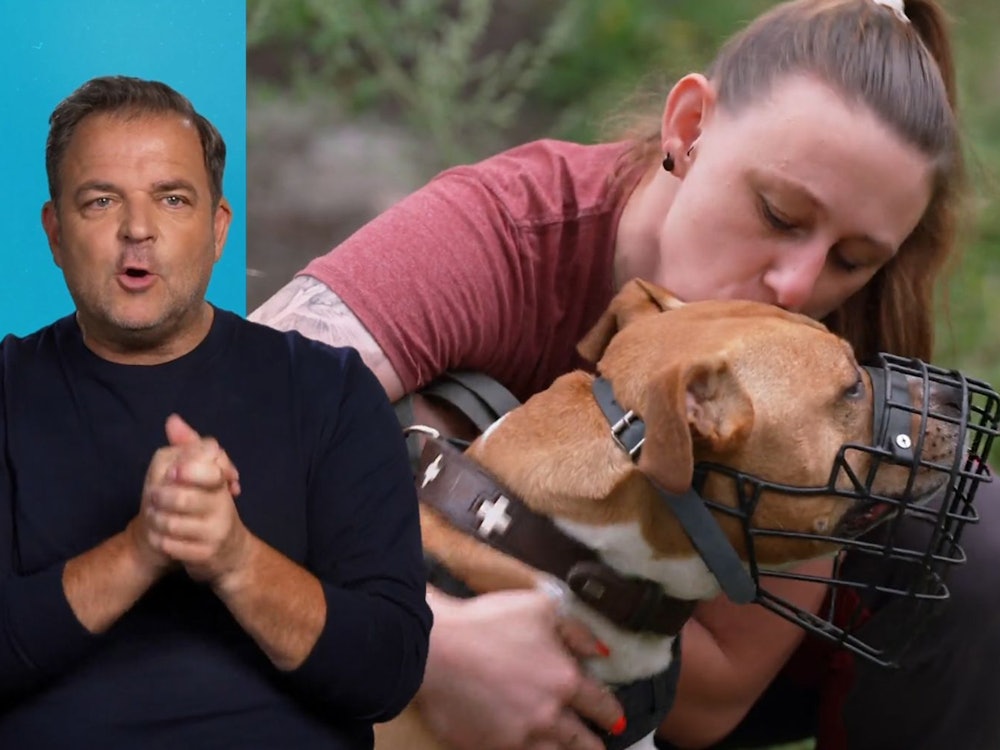 Hundetrainer Martin Rütter sucht ein Zuhause für Geronimo (11). (Bild: RTL)