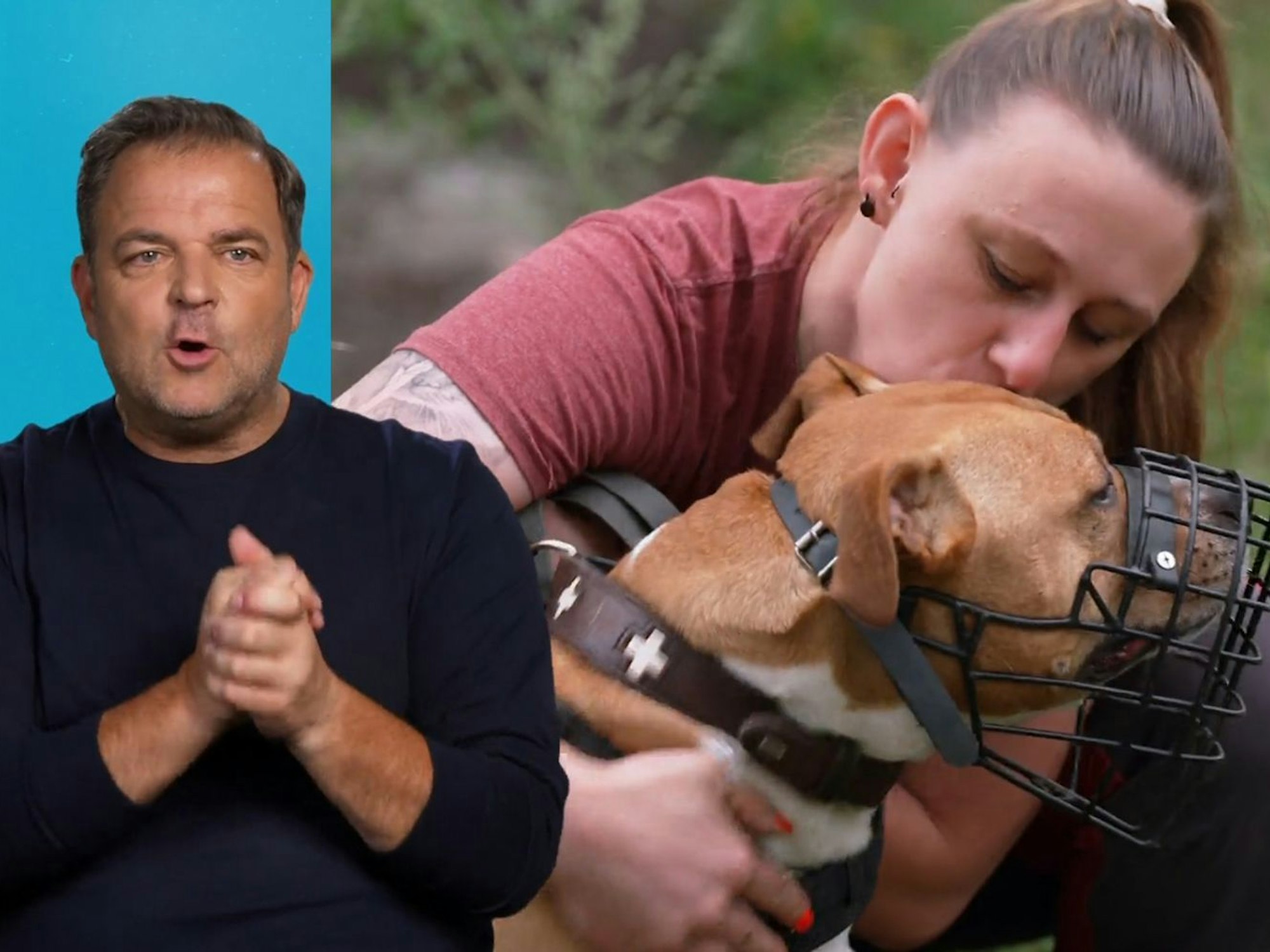 Hundetrainer Martin Rütter sucht ein Zuhause für Geronimo (11). (Bild: RTL)