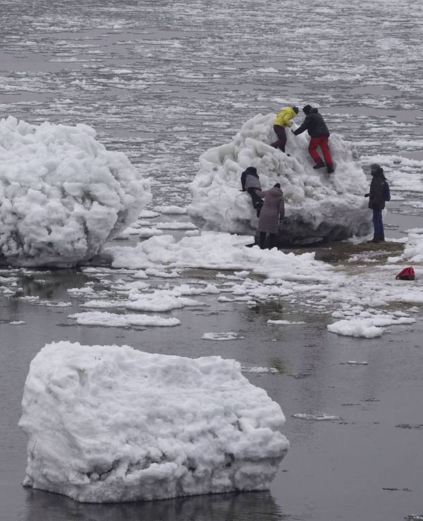 Zahlreiche Menschen gehen zwischen großen und kleinen Eisschollen an der Elbe bei Geesthacht.