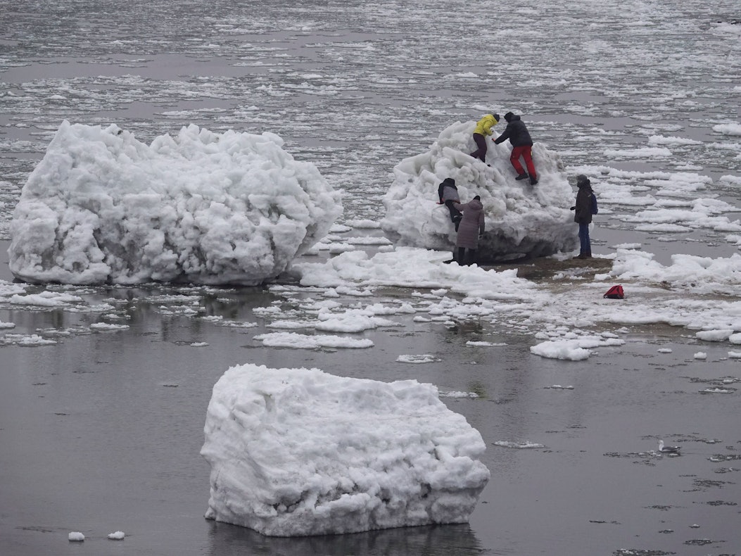 Zahlreiche Menschen gehen zwischen großen und kleinen Eisschollen an der Elbe bei Geesthacht.