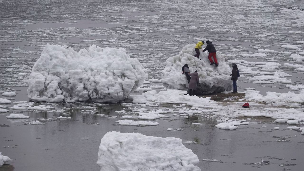 Zahlreiche Menschen gehen zwischen großen und kleinen Eisschollen an der Elbe bei Geesthacht.