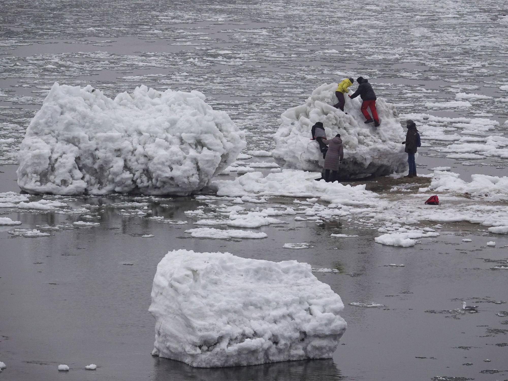 Zahlreiche Menschen gehen zwischen großen und kleinen Eisschollen an der Elbe bei Geesthacht.