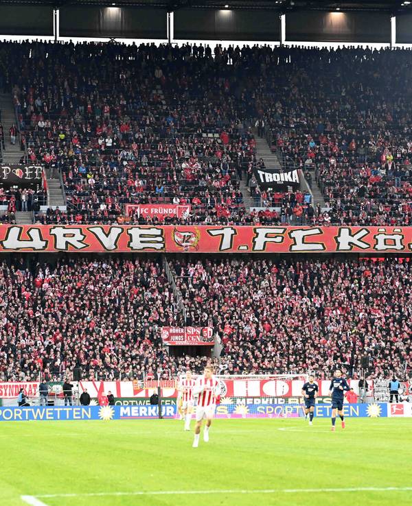 Fans des 1. FC Köln schauen im Stadion ein Spiel des Klubs.