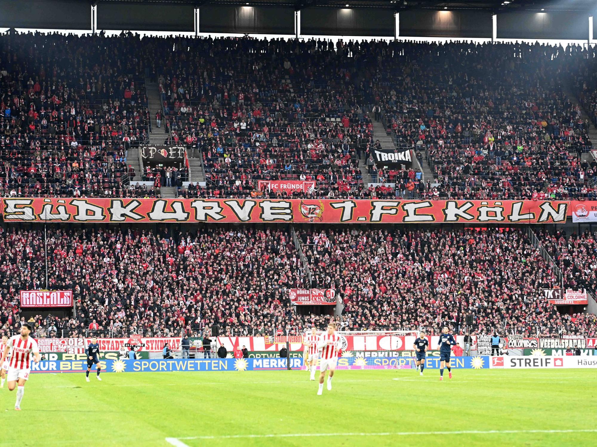 Fans des 1. FC Köln schauen im Stadion ein Spiel des Klubs.