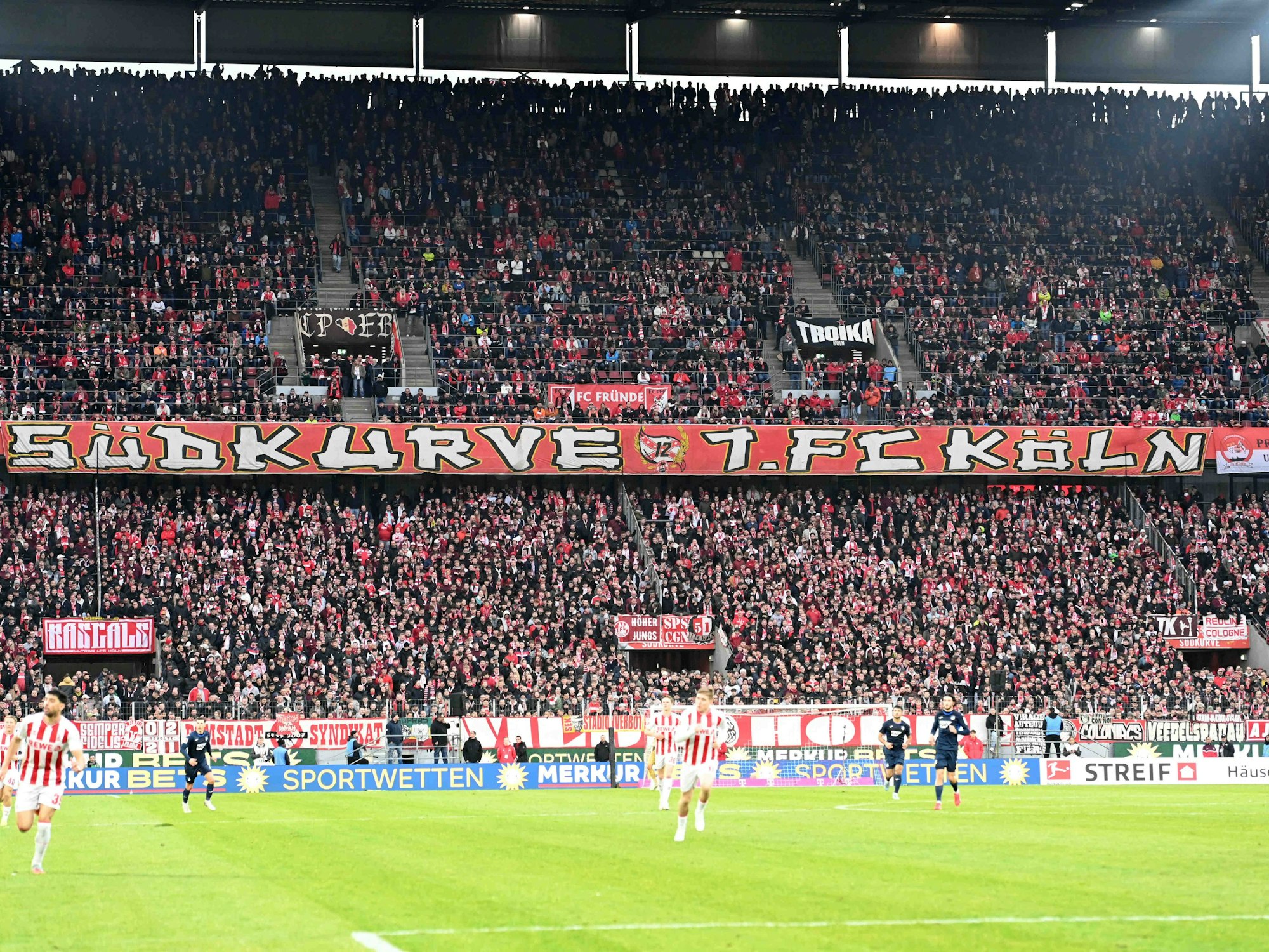 Fans des 1. FC Köln schauen im Stadion ein Spiel des Klubs.