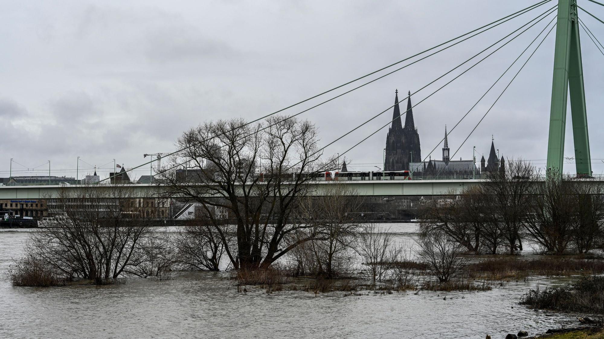 Blick auf den Rhein und die Poller Wiesen (Archivfoto)