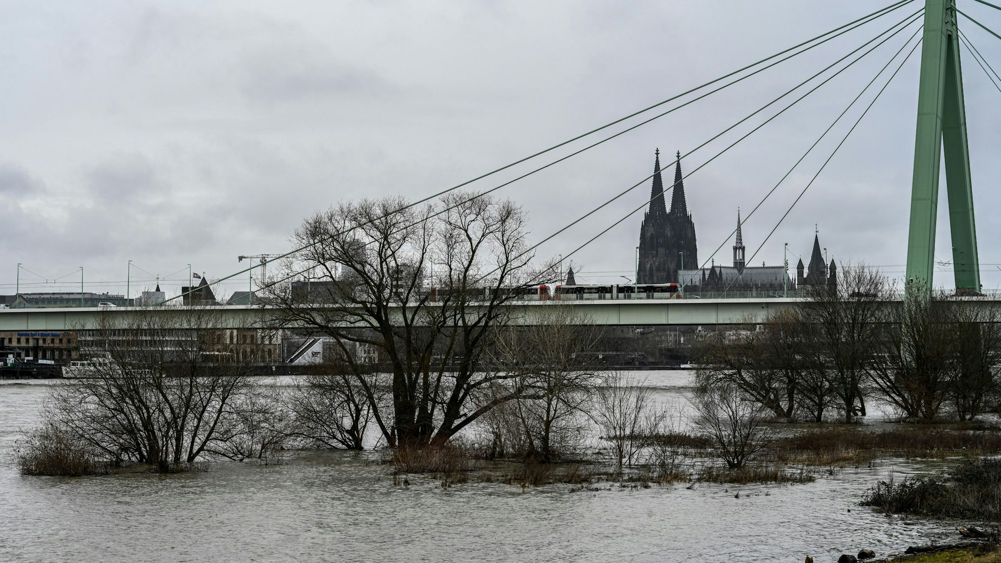 Blick auf den Rhein und die Poller Wiesen (Archivfoto)