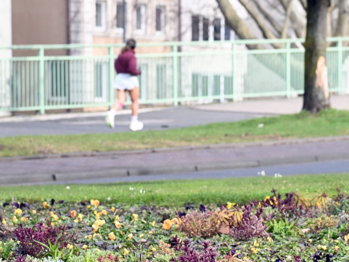 Bunte Stiefmütterchen am Kölner Heumarkt (Bild vom 18. Februar): Das Wetter wird frühlingshaft.