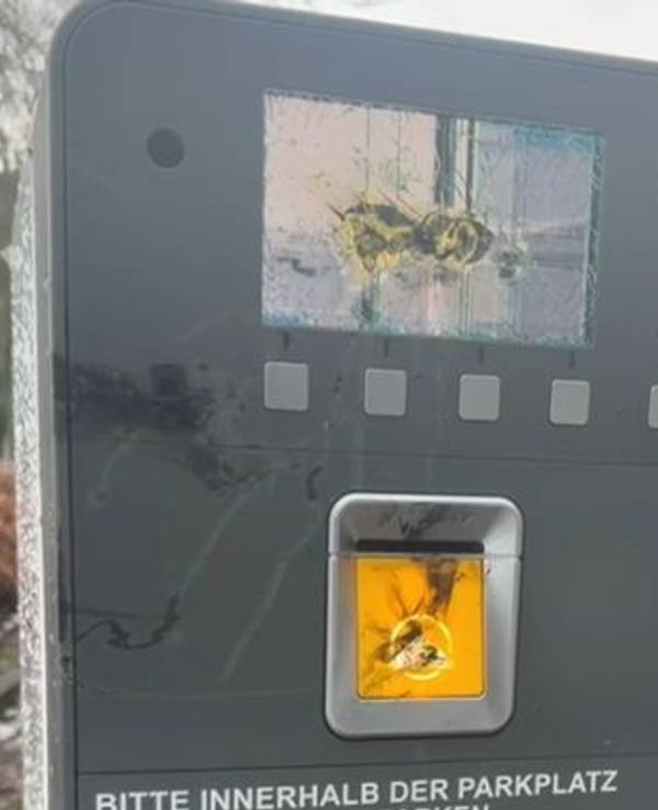 Der zerstörte Kassenautomat am Astoria Club in Köln