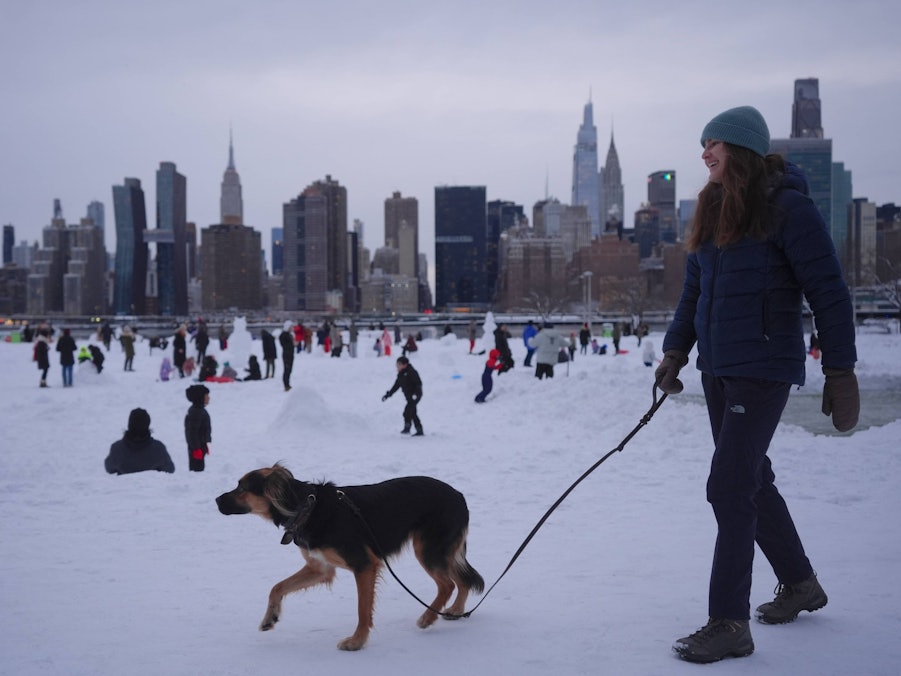 Frau und Hund mit Menschen und Stadt im Schnee