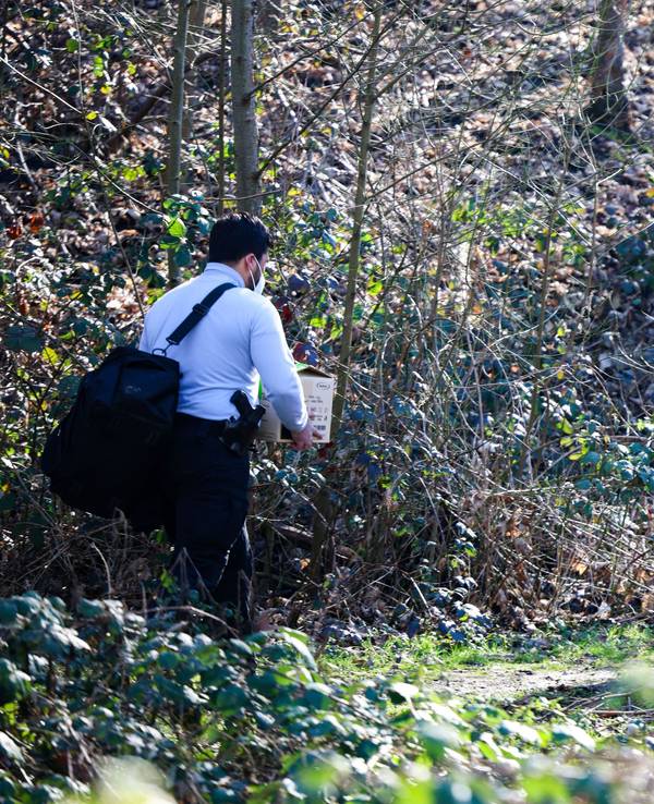 Zwei Männer sind in einem Wald abseits der Wege unterwegs.
