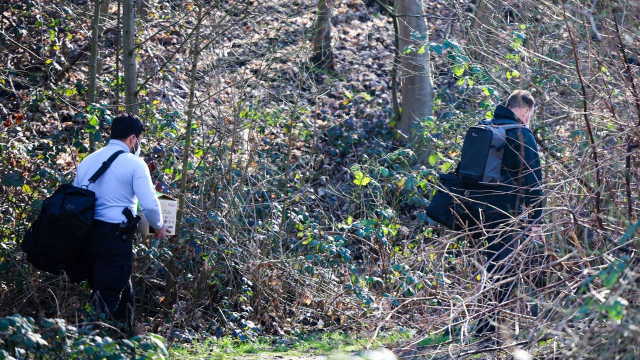 Zwei Männer sind in einem Wald abseits der Wege unterwegs.