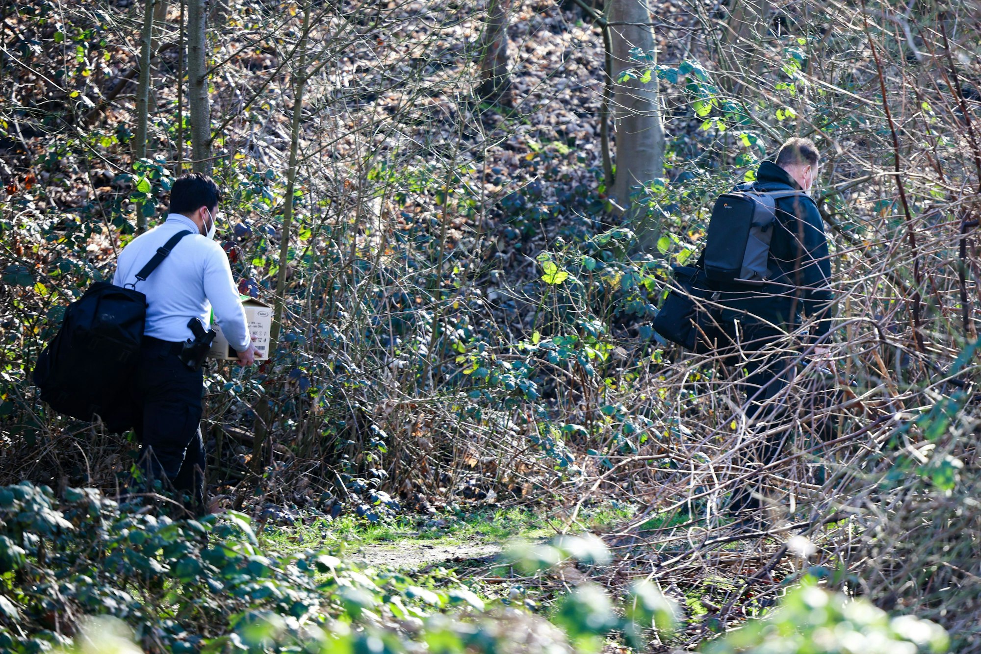 Zwei Männer sind in einem Wald abseits der Wege unterwegs.