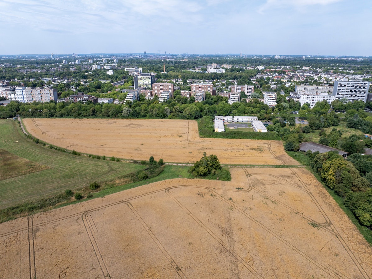 Eine Ackerfläche grenzt an Wohnbebauung.