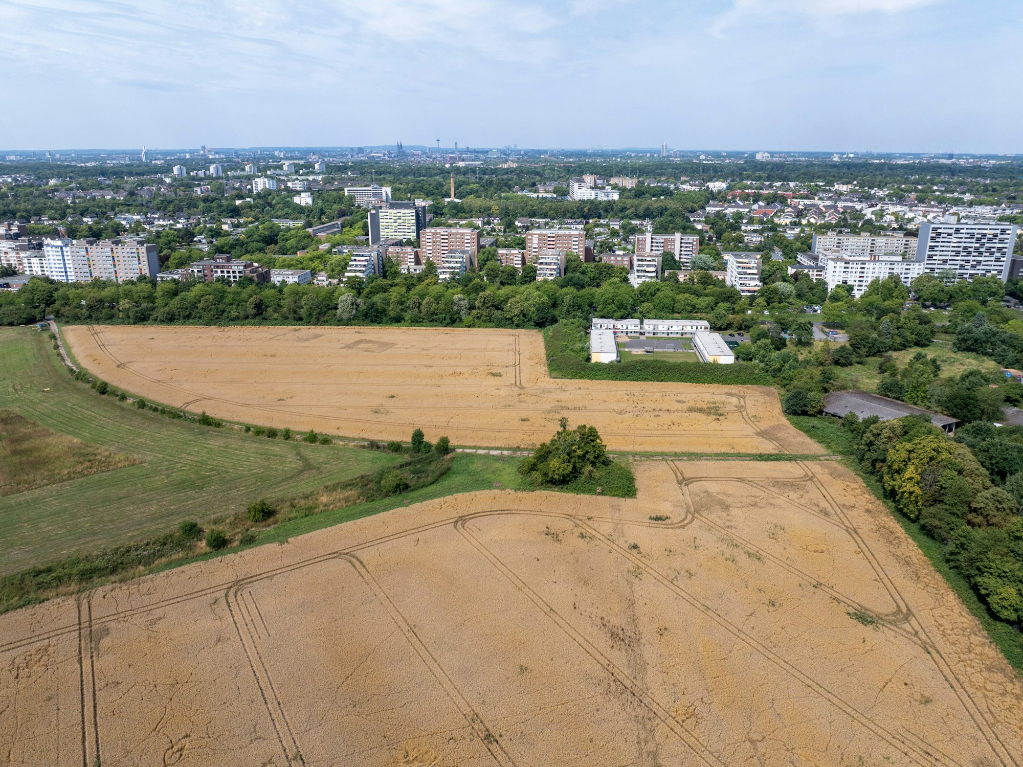 Eine Ackerfläche grenzt an Wohnbebauung.