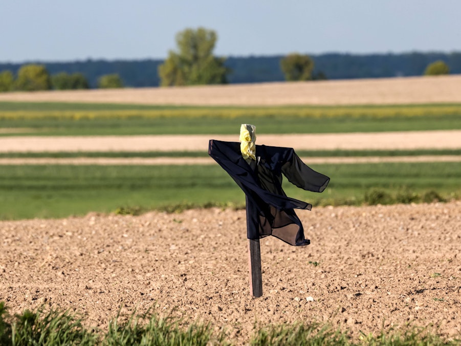 Vogelscheuche auf landwirtschaftlichen Feldern