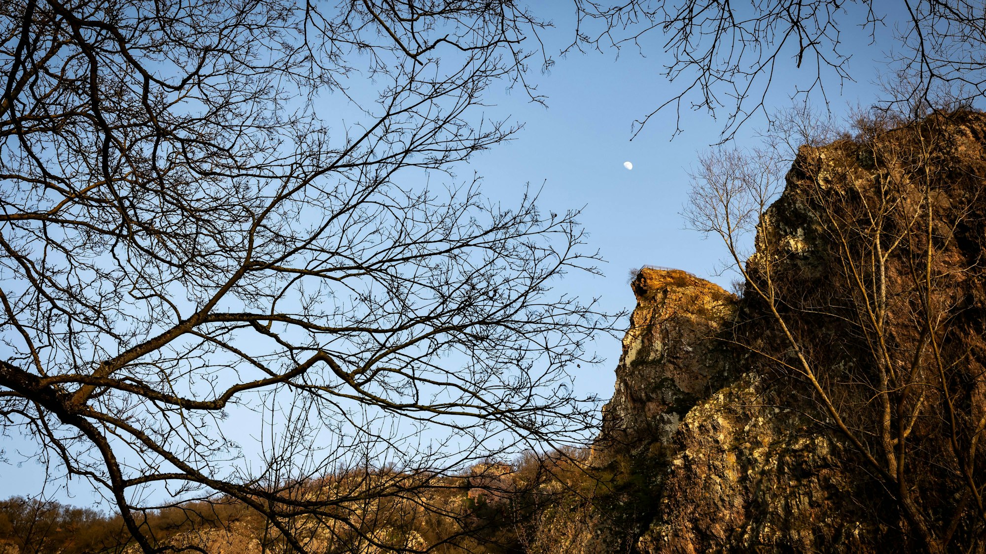 Rheingrafenstein mit Ästen, Mond und blauem Himmel