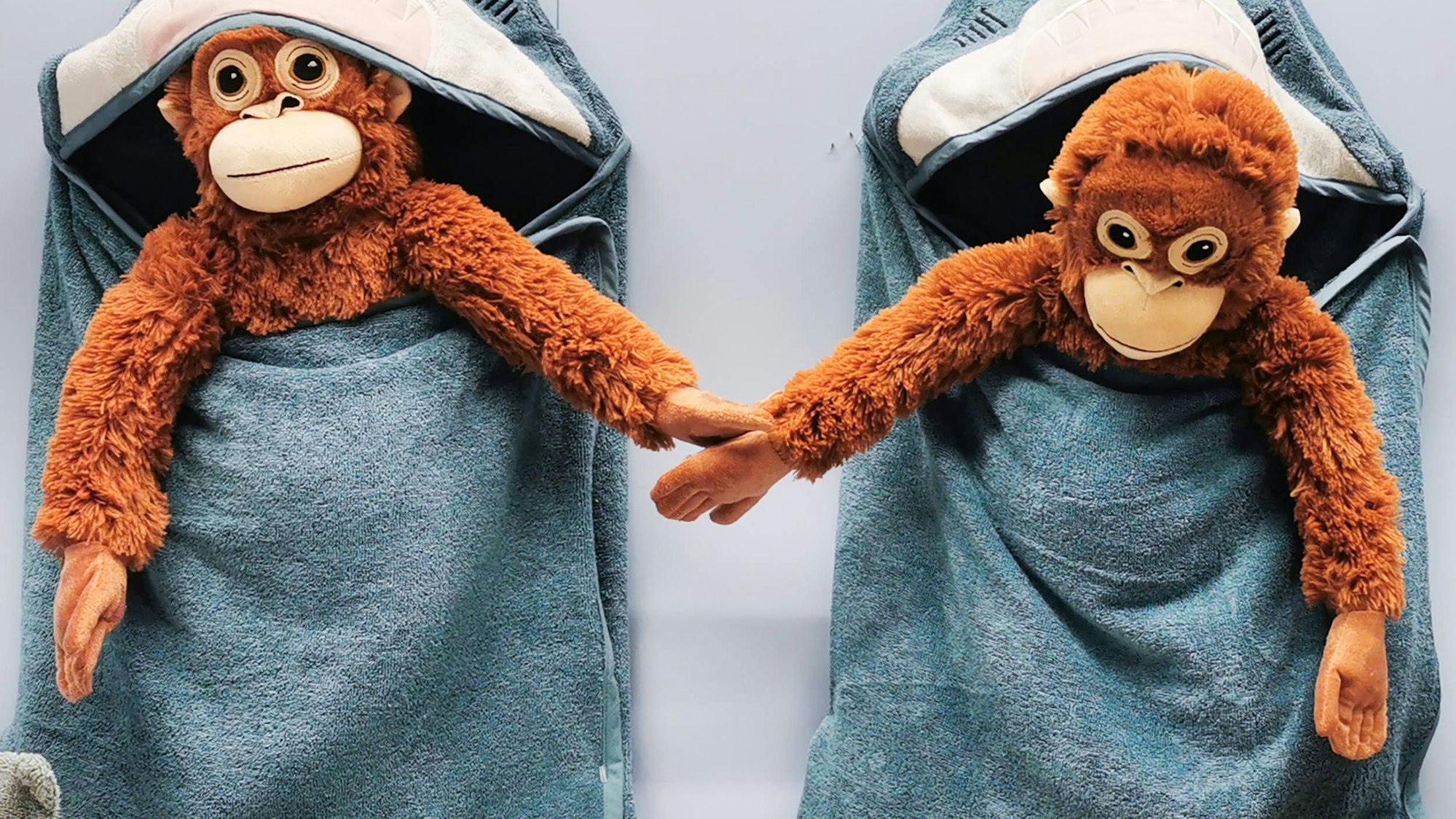 Zwei Plüsch-Orang-Utans in Haifisch-Badetüchern