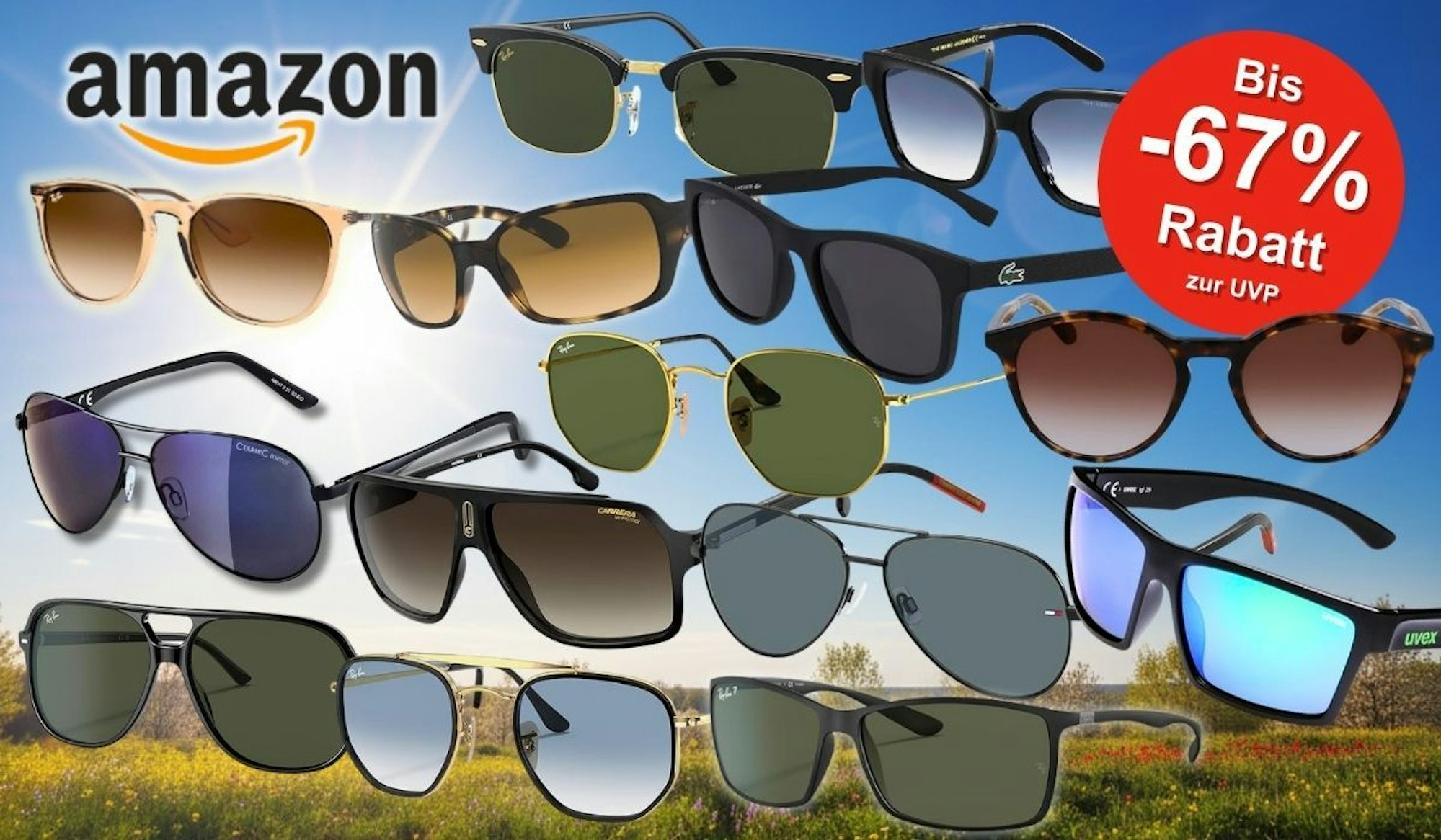 Viele Marken Sonnenbrillen von Ray Ban, Carrera, Uvex, Lacoste, Tommy Hilfiger, Oakley, Levis und Calvin Klein vor sonnigem Himmel über grüner, blühender Landschaft.