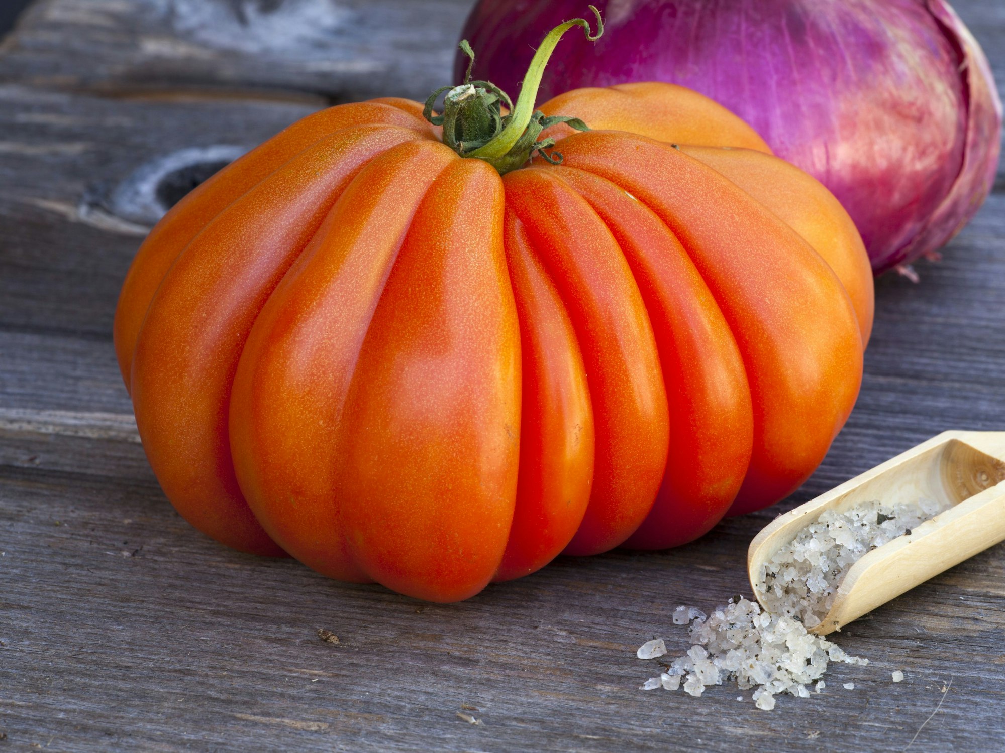 Eine Coeur de Boeuf Tomate