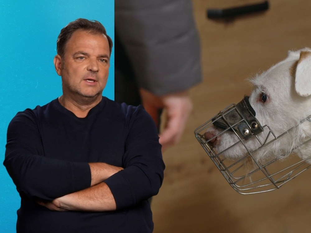 Martin Rütter hofft, dass Elvis' neue Halter ihn nicht unterschätzen. (Bild: RTL)