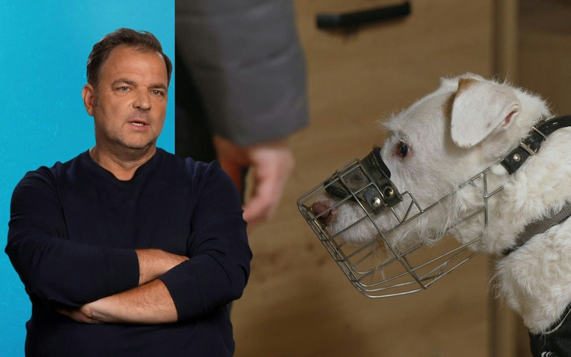 Martin Rütter hofft, dass Elvis' neue Halter ihn nicht unterschätzen. (Bild: RTL)