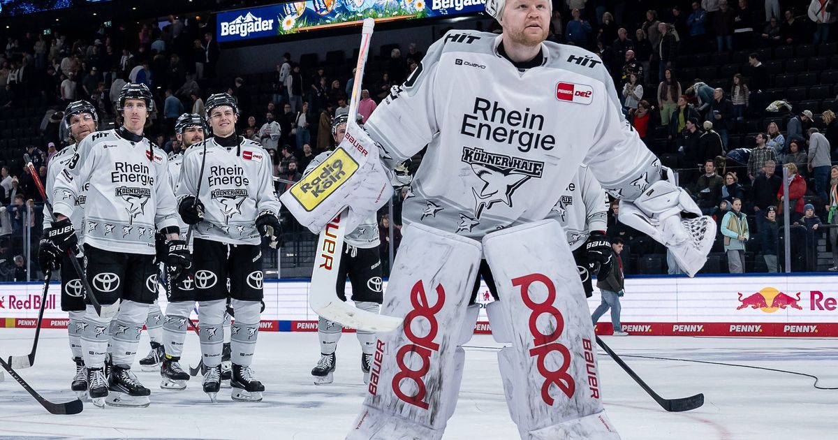 Kölner Haie wieder international – so funktioniert die CHL | Express