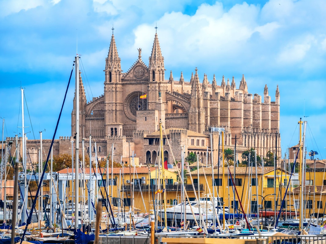 Catedral Basílica de Santa María de Mallorca vom Hafen aus gesehen. Insel Mallorca. Balearische Inseln von Spanien. Catedral Basílica de Santa María de Mallorca view from harbor. Island of Mallorca. Balearic islands of Spain. LicenseRF Copyright: xZoonar.com/DaliborxBrlekx 24188963