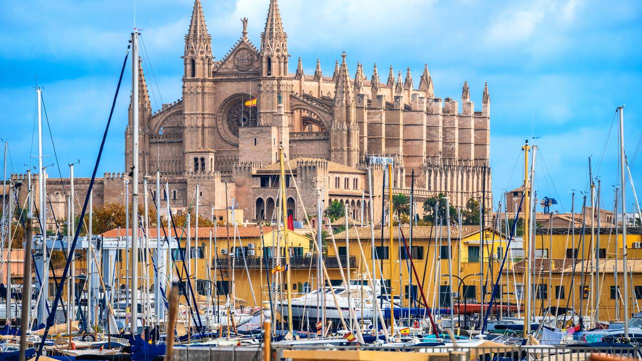 Catedral Basílica de Santa María de Mallorca vom Hafen aus gesehen. Insel Mallorca. Balearische Inseln von Spanien. Catedral Basílica de Santa María de Mallorca view from harbor. Island of Mallorca. Balearic islands of Spain. LicenseRF Copyright: xZoonar.com/DaliborxBrlekx 24188963