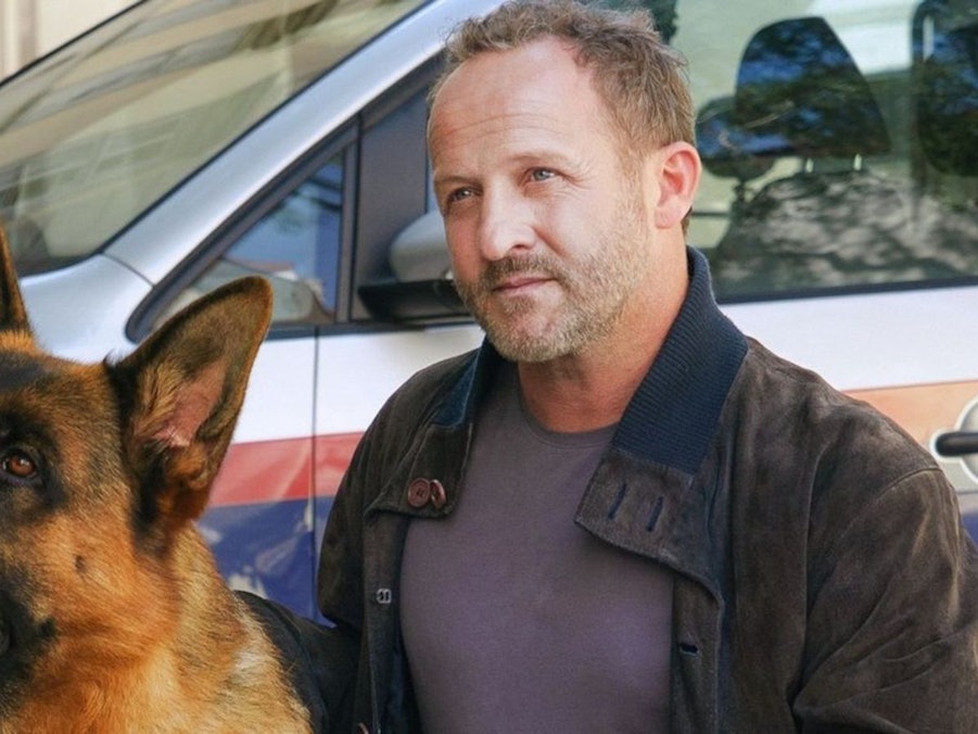 „Kommissar Rex“ kehrt mit Maximilian Brückner als neuem Hauptdarsteller zurück. (Bild: SAT.1/ORF/Petro Domenigg)
