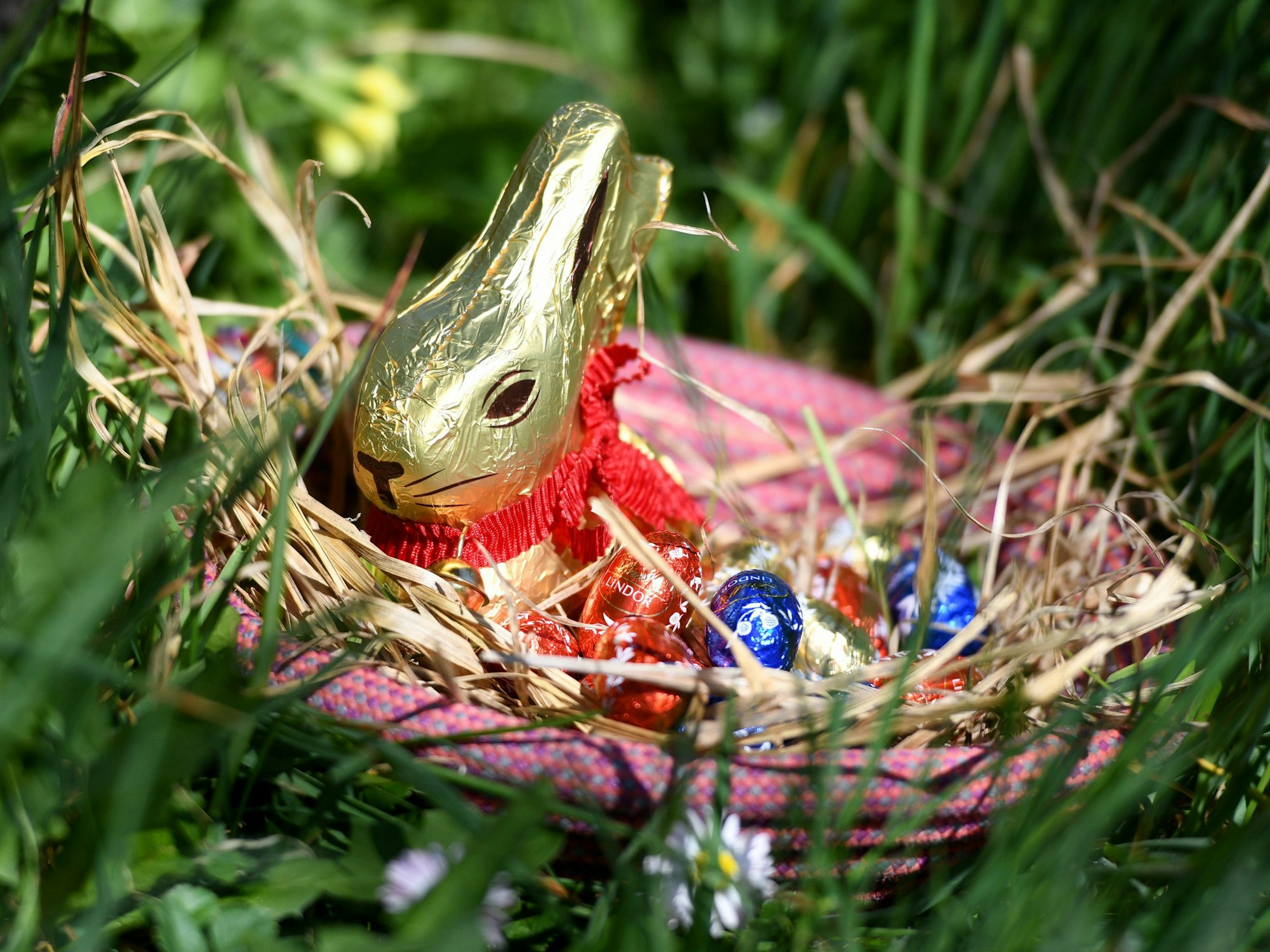 .Ein Osternest mit Schoko-Hase und Schoko-Eiern
