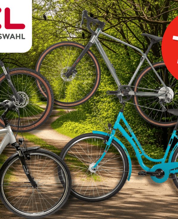4 verschiedene Fahrräder vor einem Radweg im Wald.