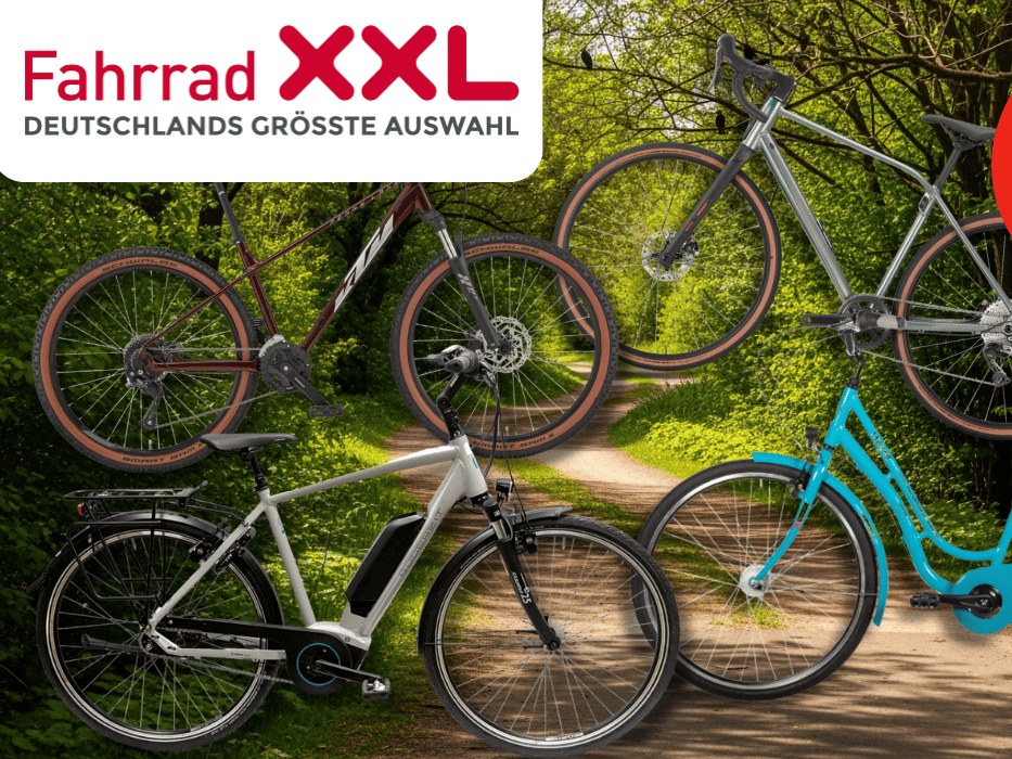 4 verschiedene Fahrräder vor einem Radweg im Wald.