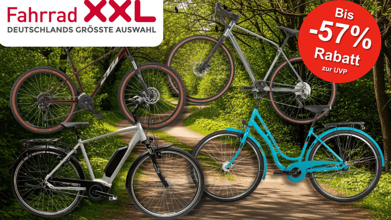 4 verschiedene Fahrräder vor einem Radweg im Wald.
