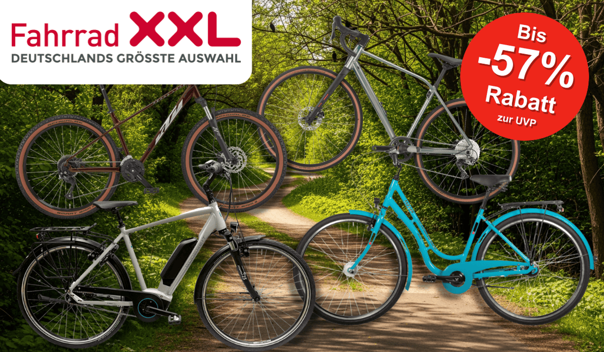 4 verschiedene Fahrräder vor einem Radweg im Wald.