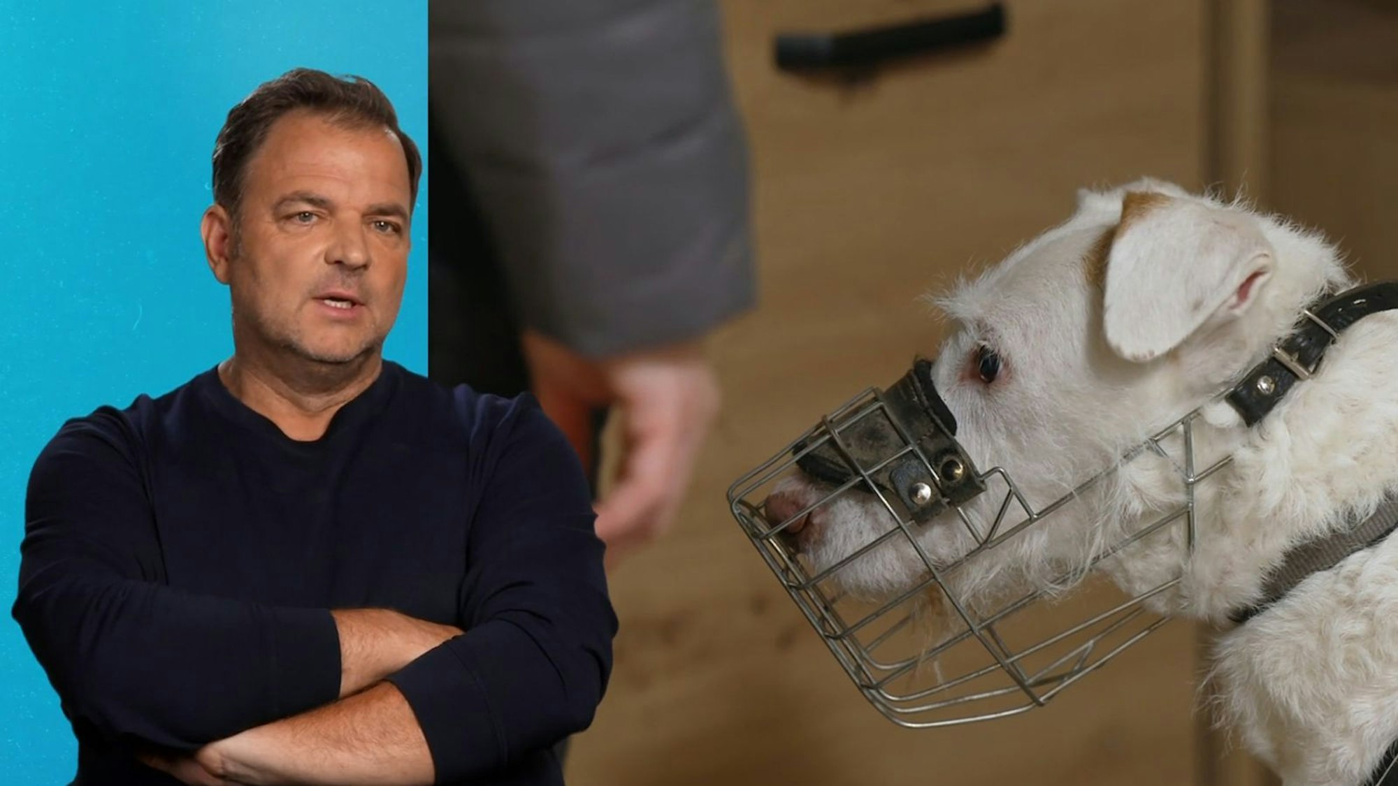 Martin Rütter ist geschockt: Der elfjährige Rüde Elvis hat einen inoperablen Tumor. (Bild: RTL)