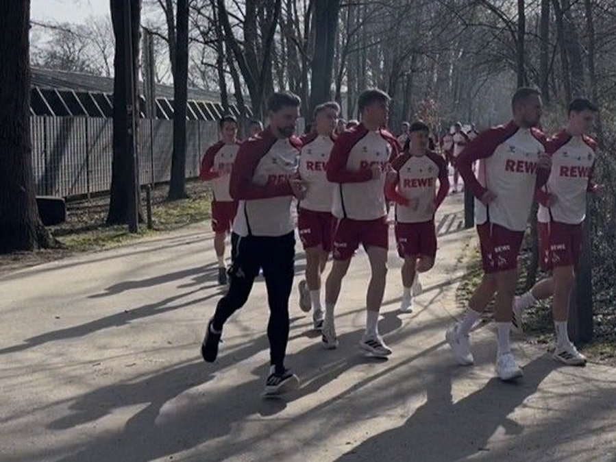 Lauftraining beim 1. FC Köln.